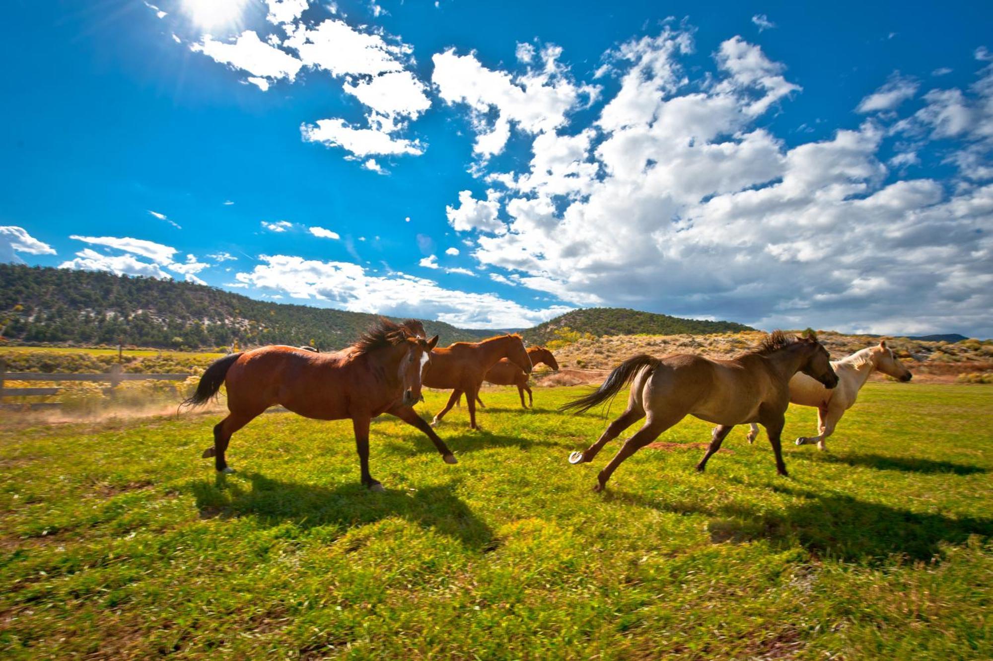 Boulder Mountain Guest Ranch Villa Luaran gambar